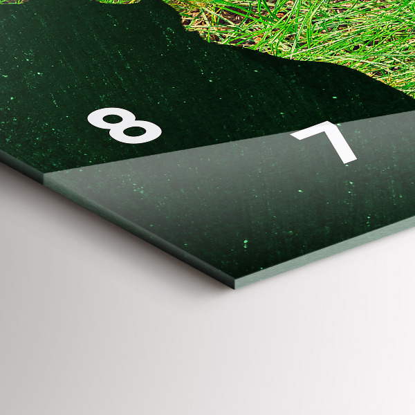 Zegar ścienny poziomy Trawiasta mapa świata