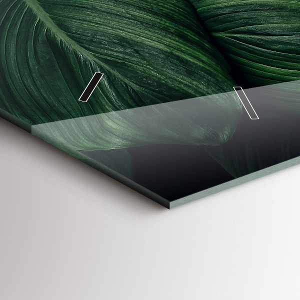 Zegar szklany poziomy Tropikalna monstera