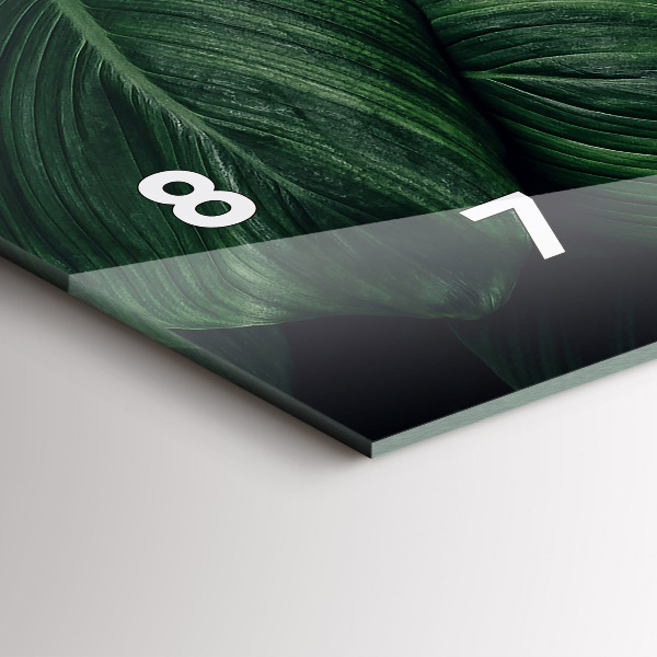 Zegar szklany poziomy Tropikalna monstera