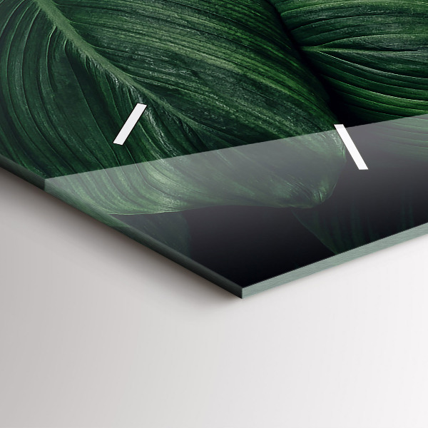 Zegar szklany poziomy Tropikalna monstera