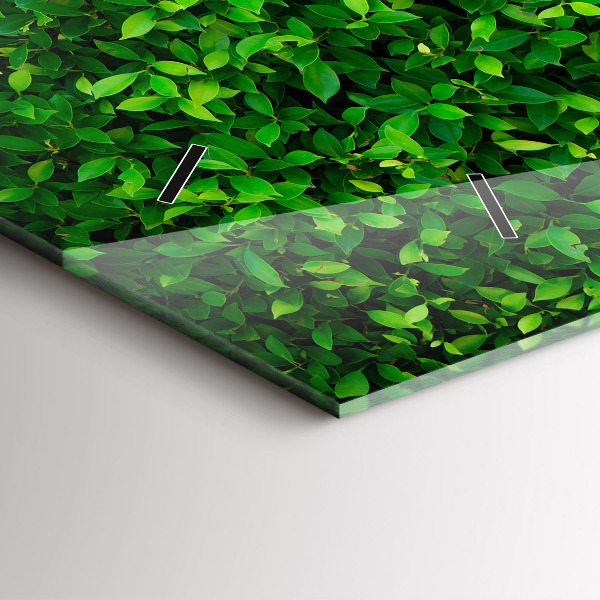 Zegar szklany poziomy Żywopłot liście