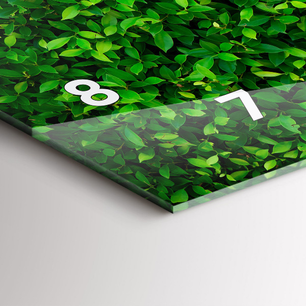 Zegar szklany poziomy Żywopłot liście