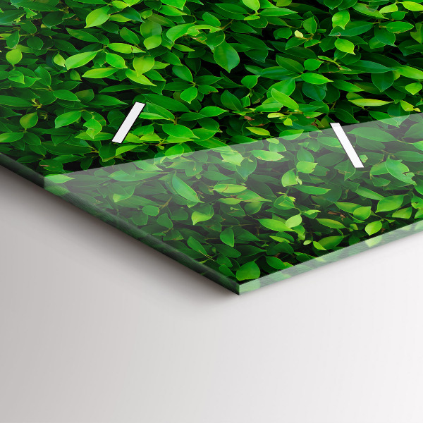 Zegar szklany poziomy Żywopłot liście