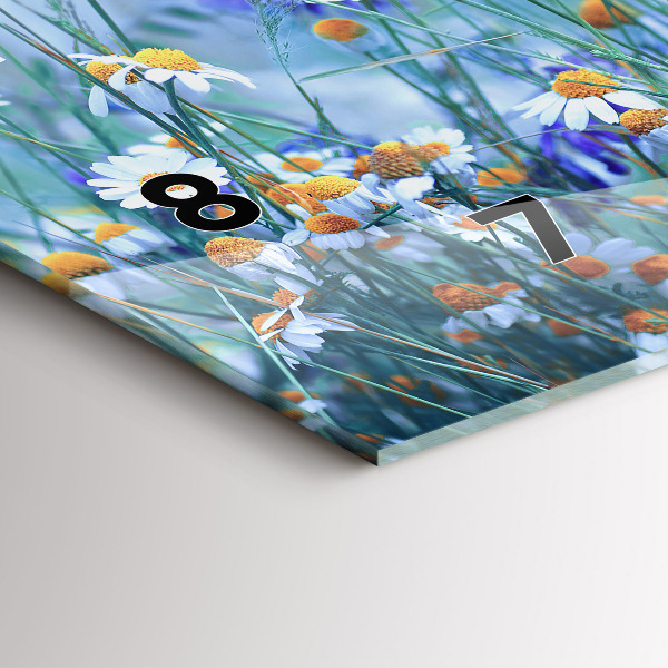 Zegar szklany poziomy Motyl na łące