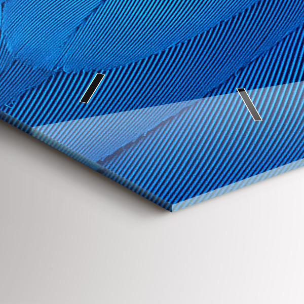 Zegar szklany poziomy Pióro ptaka