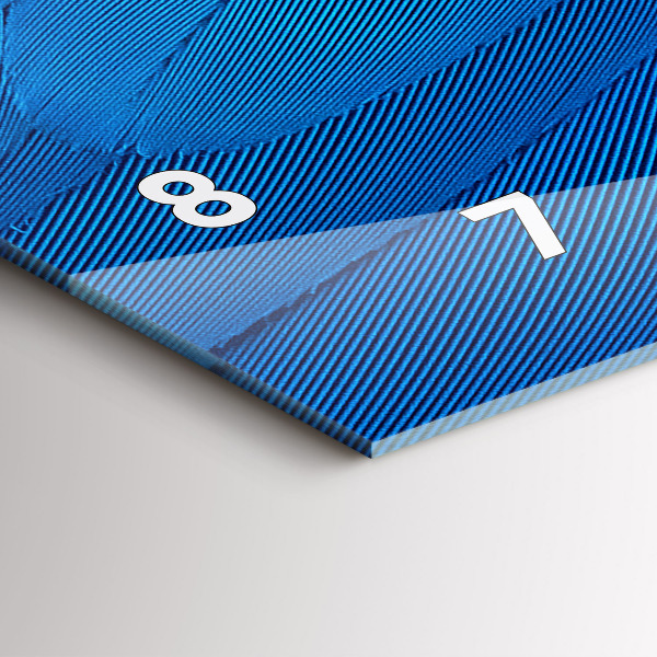 Zegar szklany poziomy Pióro ptaka