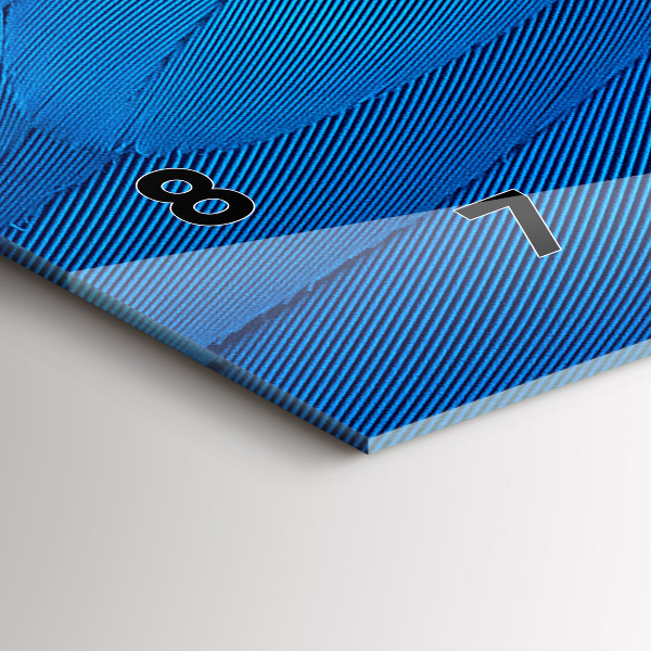 Zegar szklany poziomy Pióro ptaka