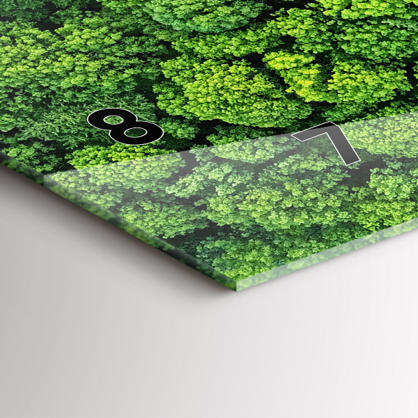 Zegar szklany poziomy Las z lotu ptaka