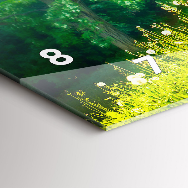 Zegar ścienny poziomy Natura wiosenna