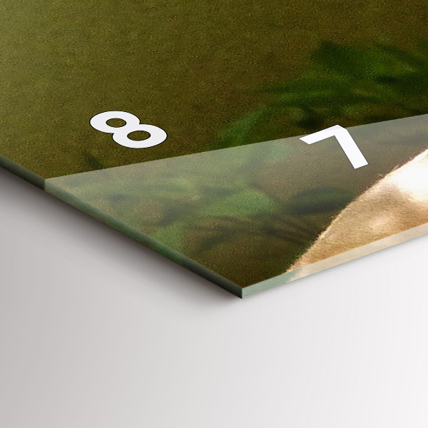 Zegar poziomy Portret Lwa