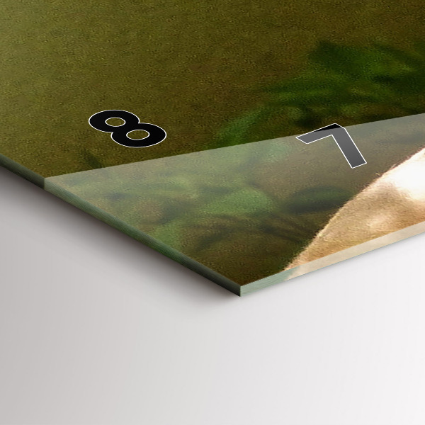 Zegar poziomy Portret Lwa