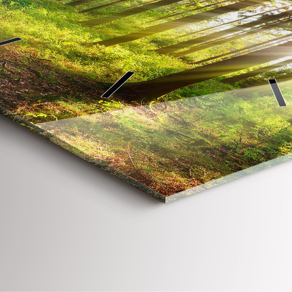 Kwadratowy zegar Las wschód słońca