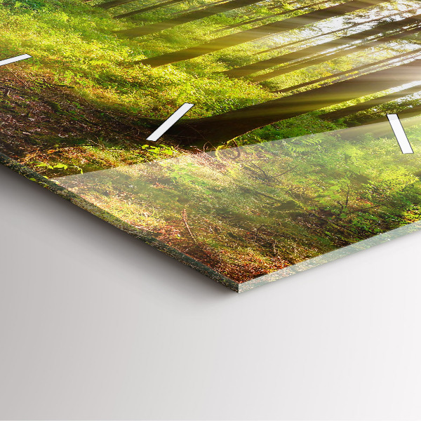 Kwadratowy zegar Las wschód słońca