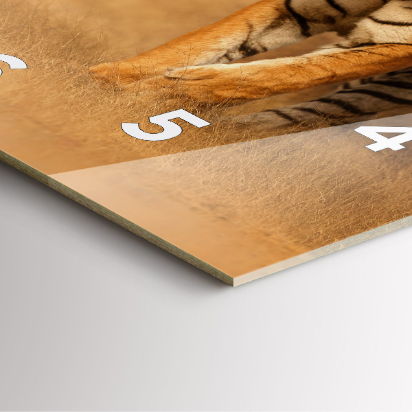 Kwadratowy zegar Polowanie Tygrys