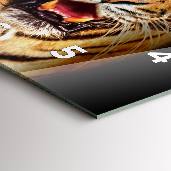 Kwadratowy zegar Tygrys – dziki wzrok