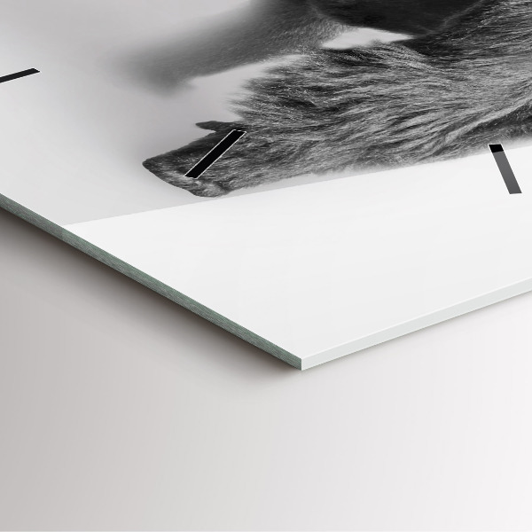 Kwadratowy zegar Kolekcja sztuki zwierząt