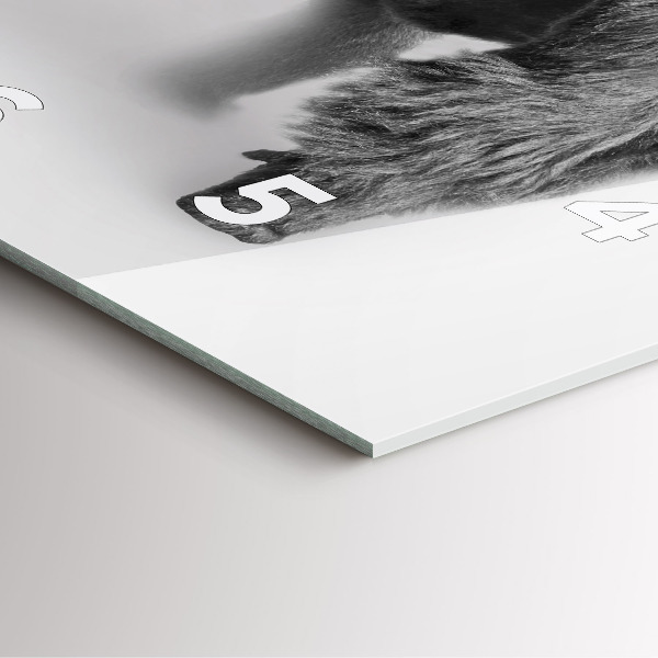 Kwadratowy zegar Kolekcja sztuki zwierząt