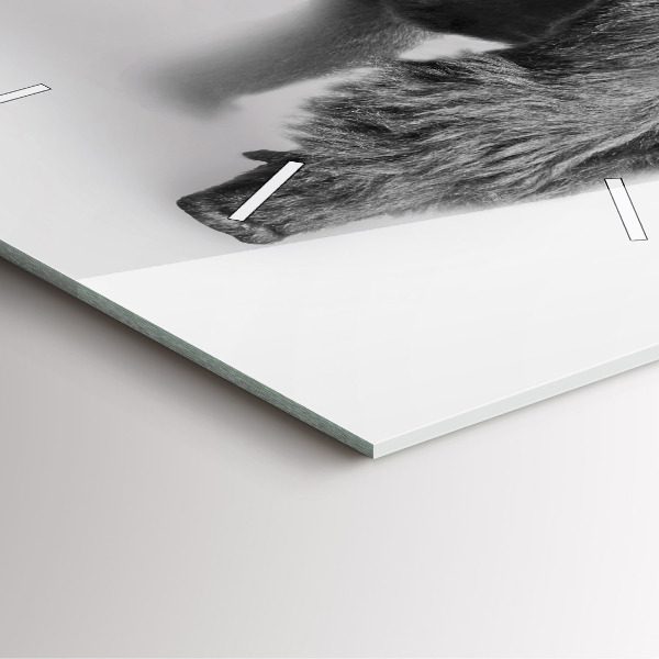 Kwadratowy zegar Kolekcja sztuki zwierząt