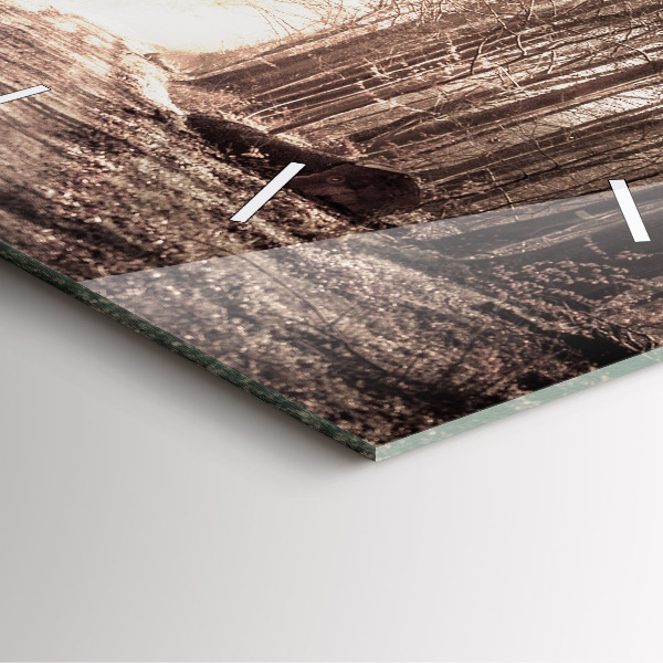 Kwadratowy zegar Ścieżka leśna w sepii