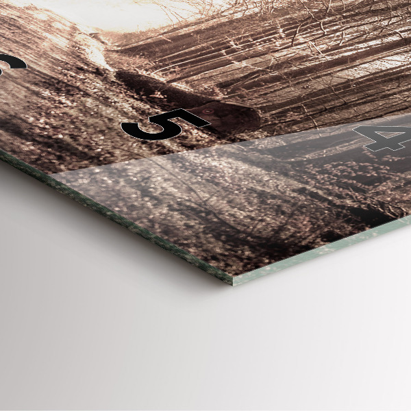 Kwadratowy zegar Ścieżka leśna w sepii