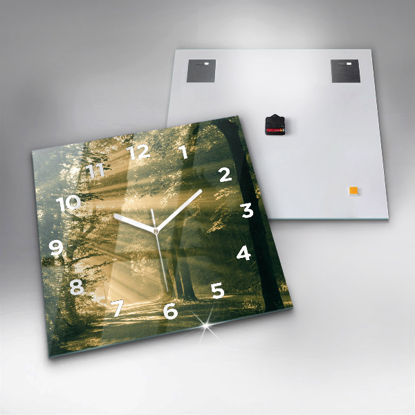Kwadratowy zegar Promienie słoneczne Las