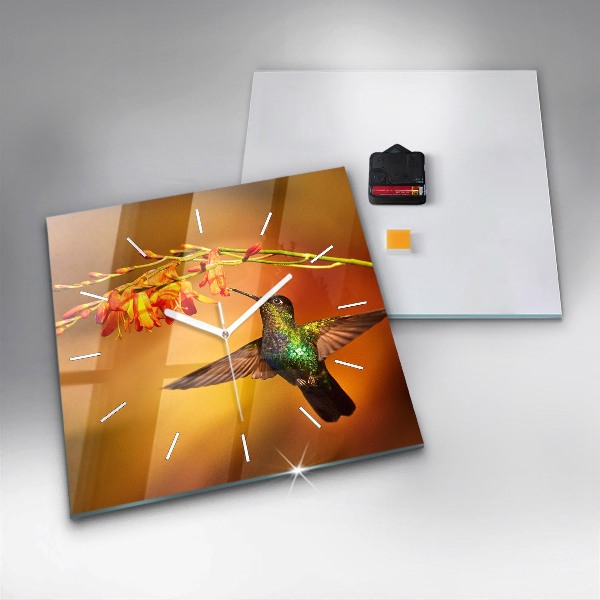 Zegar ścienny kwadratowy Koliber ptak