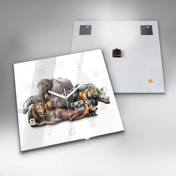 Kwadratowy zegar Dzikie zwierzęta