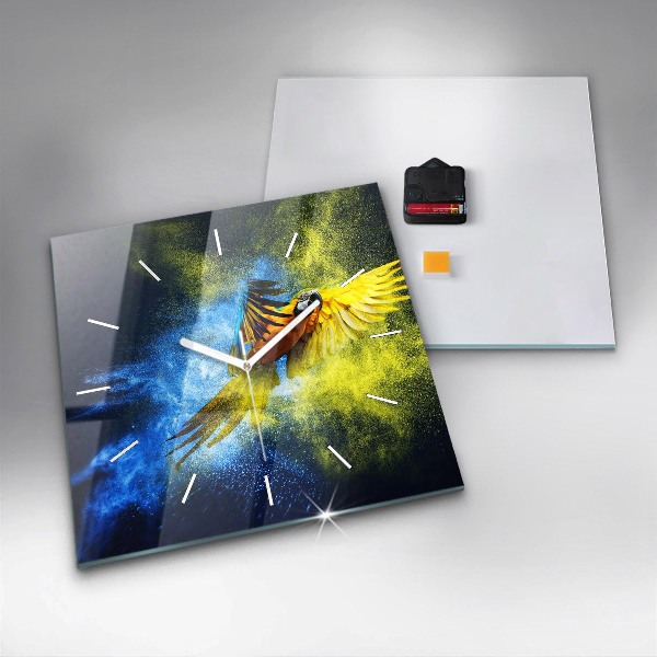 Zegar ścienny kwadratowy Kolorowa papuga