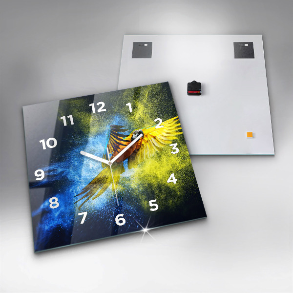 Zegar ścienny kwadratowy Kolorowa papuga