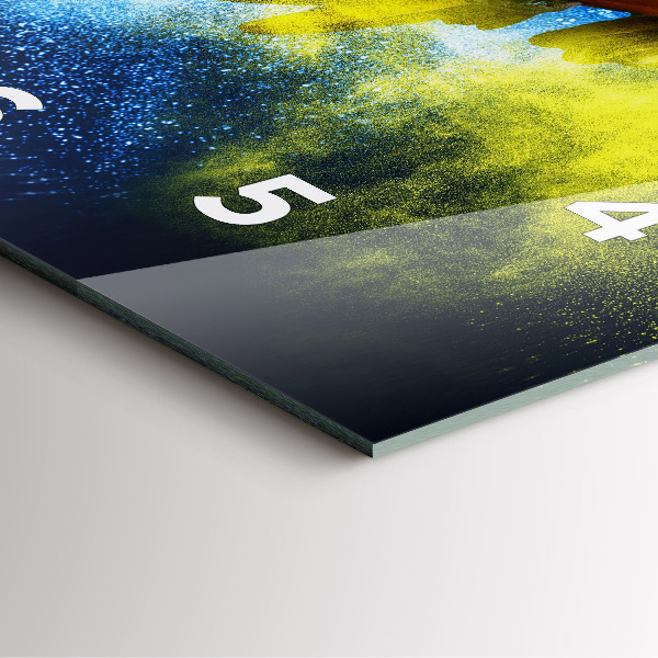 Zegar ścienny kwadratowy Kolorowa papuga