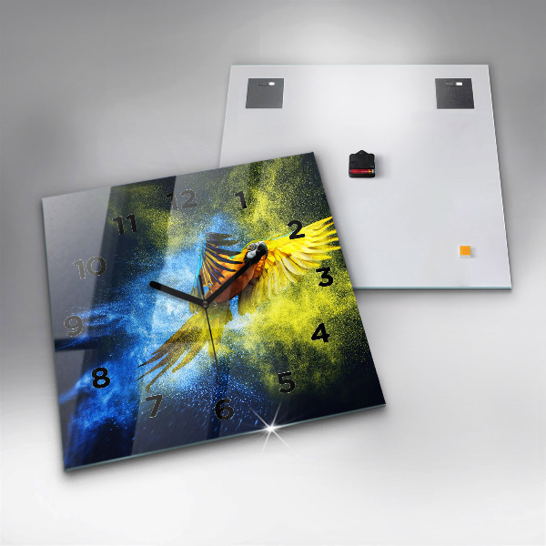 Zegar ścienny kwadratowy Kolorowa papuga