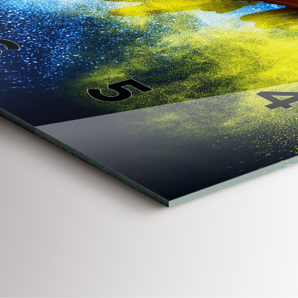 Zegar ścienny kwadratowy Kolorowa papuga