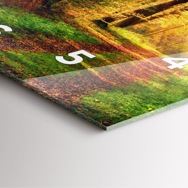 Zegar na ścianę kwadratowy Jesienna sceneria leśna