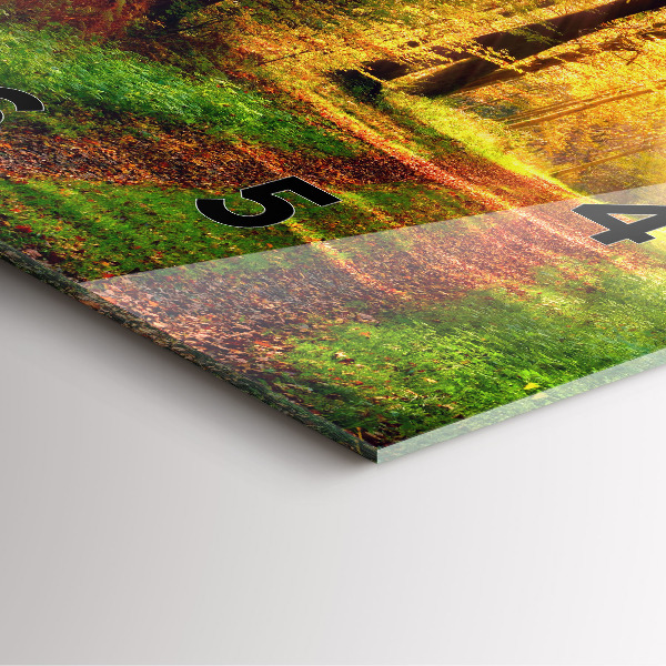 Zegar na ścianę kwadratowy Jesienna sceneria leśna