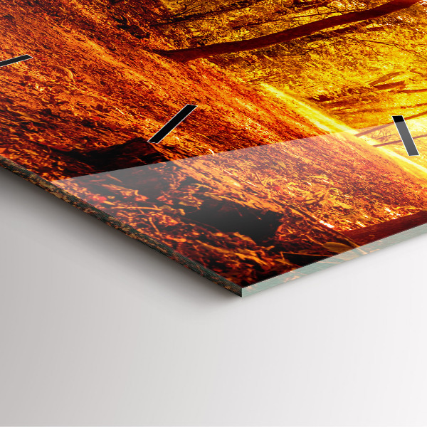 Zegar na ścianę kwadratowy Pejzaż lasu w słońcu