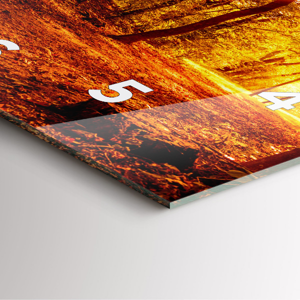 Zegar na ścianę kwadratowy Pejzaż lasu w słońcu