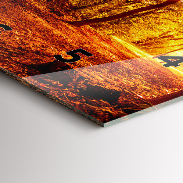 Zegar na ścianę kwadratowy Pejzaż lasu w słońcu