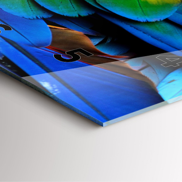 Zegar na ścianę kwadratowy Kolorowe skrzydła ptaka