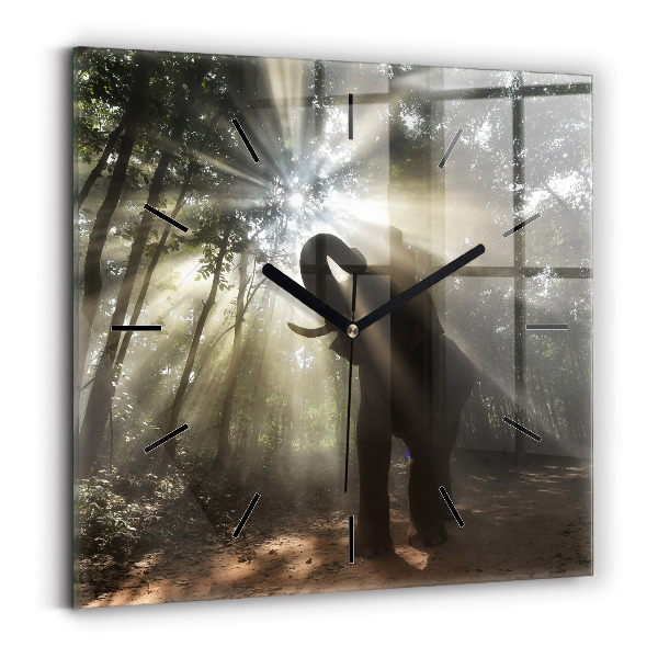 Zegar na ścianę kwadratowy Słoń w dżungli