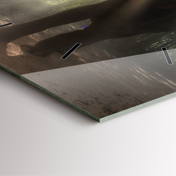 Zegar na ścianę kwadratowy Słoń w dżungli