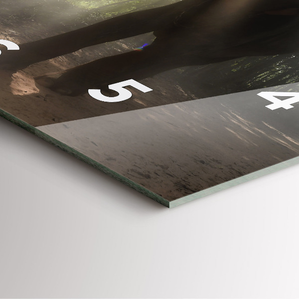 Zegar na ścianę kwadratowy Słoń w dżungli