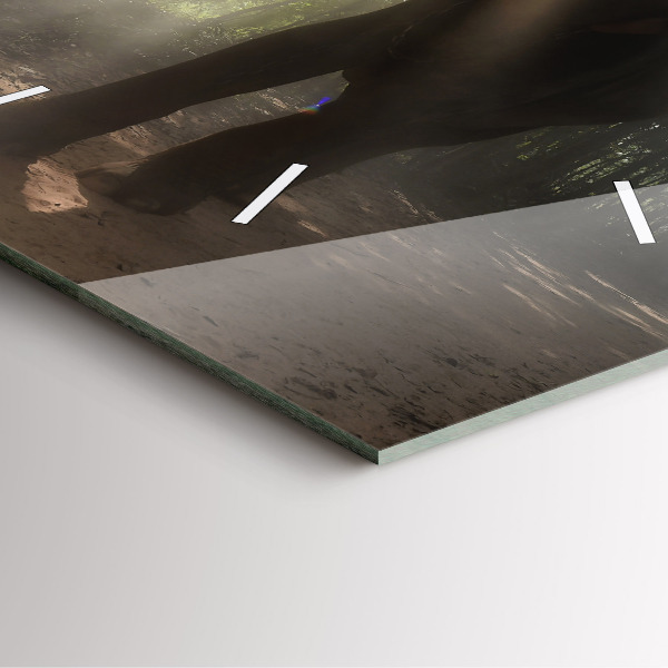 Zegar na ścianę kwadratowy Słoń w dżungli