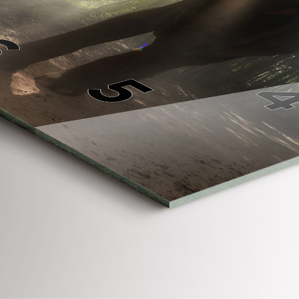 Zegar na ścianę kwadratowy Słoń w dżungli