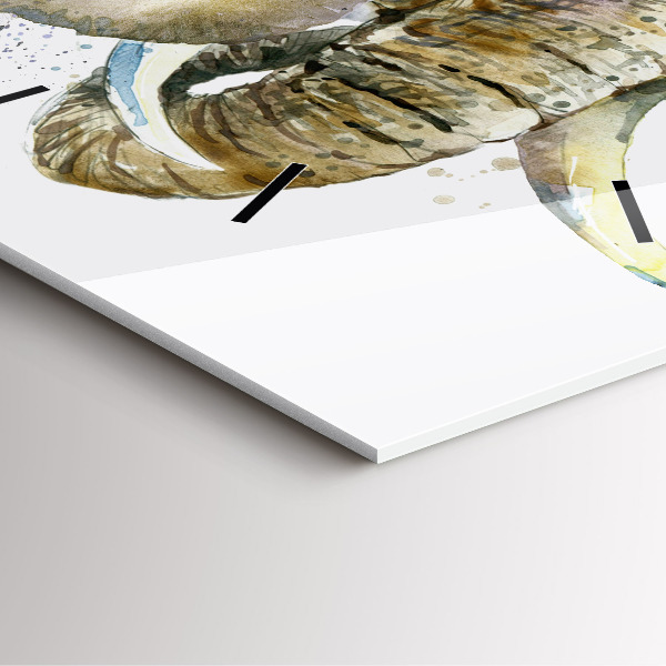 Zegar na ścianę kwadratowy Malowane zwierzęta słonie