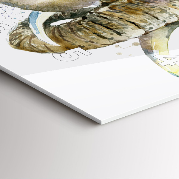 Zegar na ścianę kwadratowy Malowane zwierzęta słonie