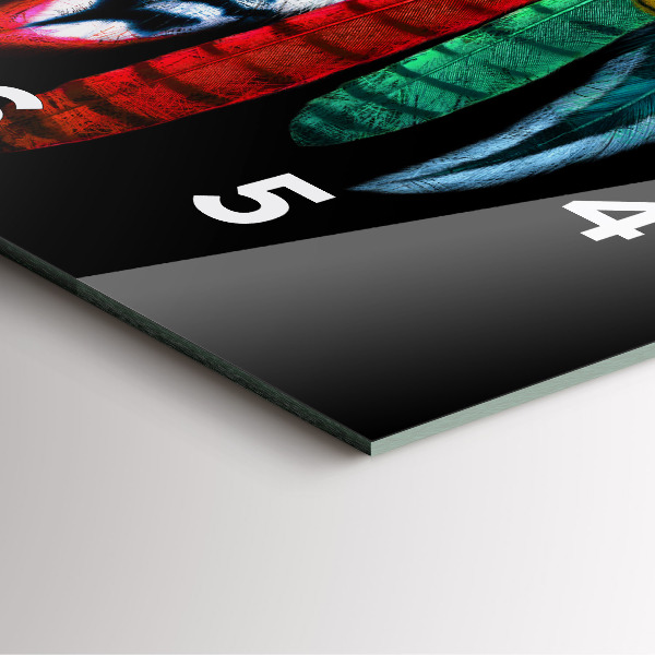 Zegar na ścianę kwadratowy Kolorowe pióra ptaka