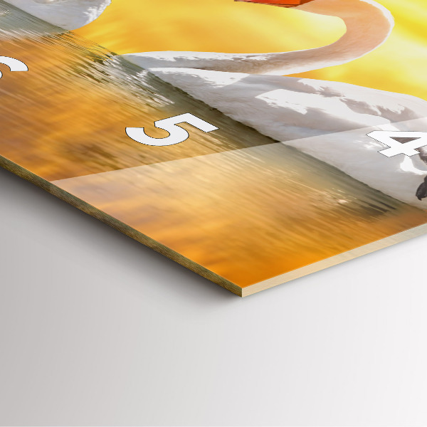 Zegar na ścianę kwadratowy Zakochane łabędzie