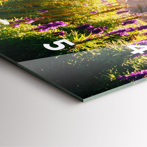 Zegar ścienny kwadratowy Łąka Lawenda