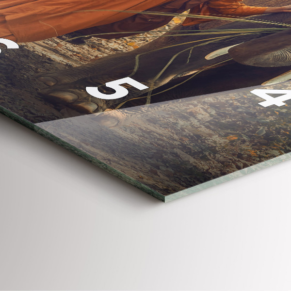 Zegar ścienny kwadratowy Mnich prowadzący słonie