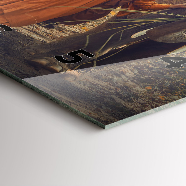 Zegar ścienny kwadratowy Mnich prowadzący słonie